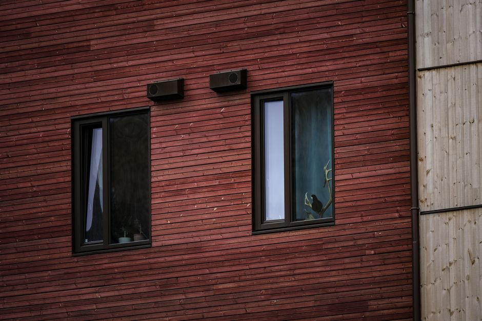 Modern home facade featuring elegant double hung windows